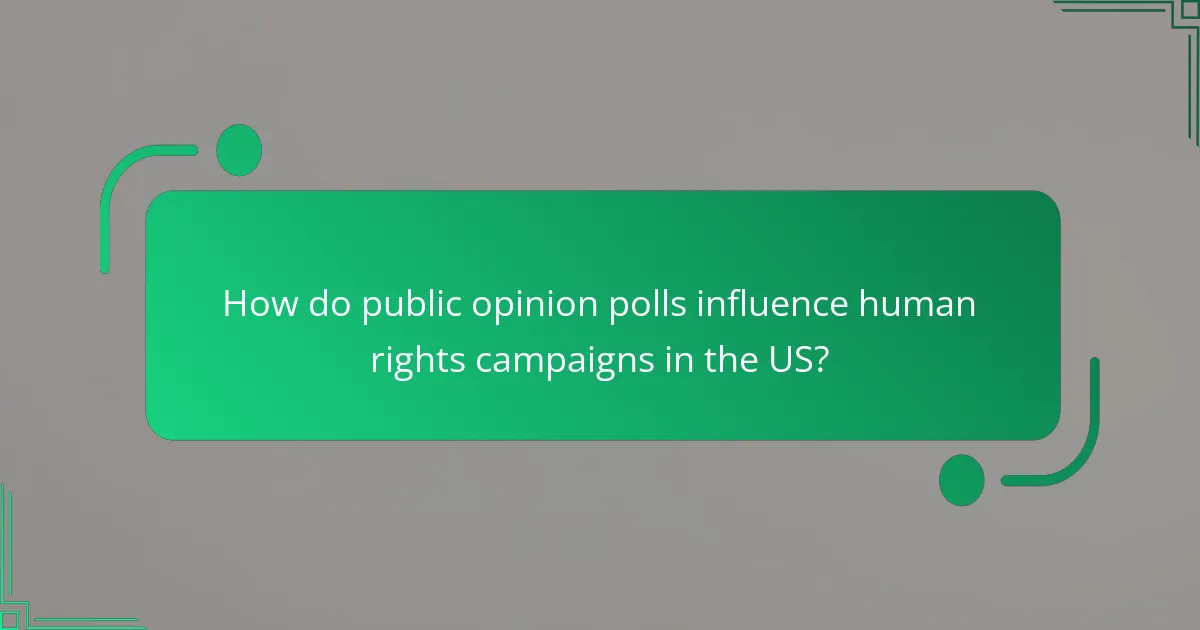How do public opinion polls influence human rights campaigns in the US?