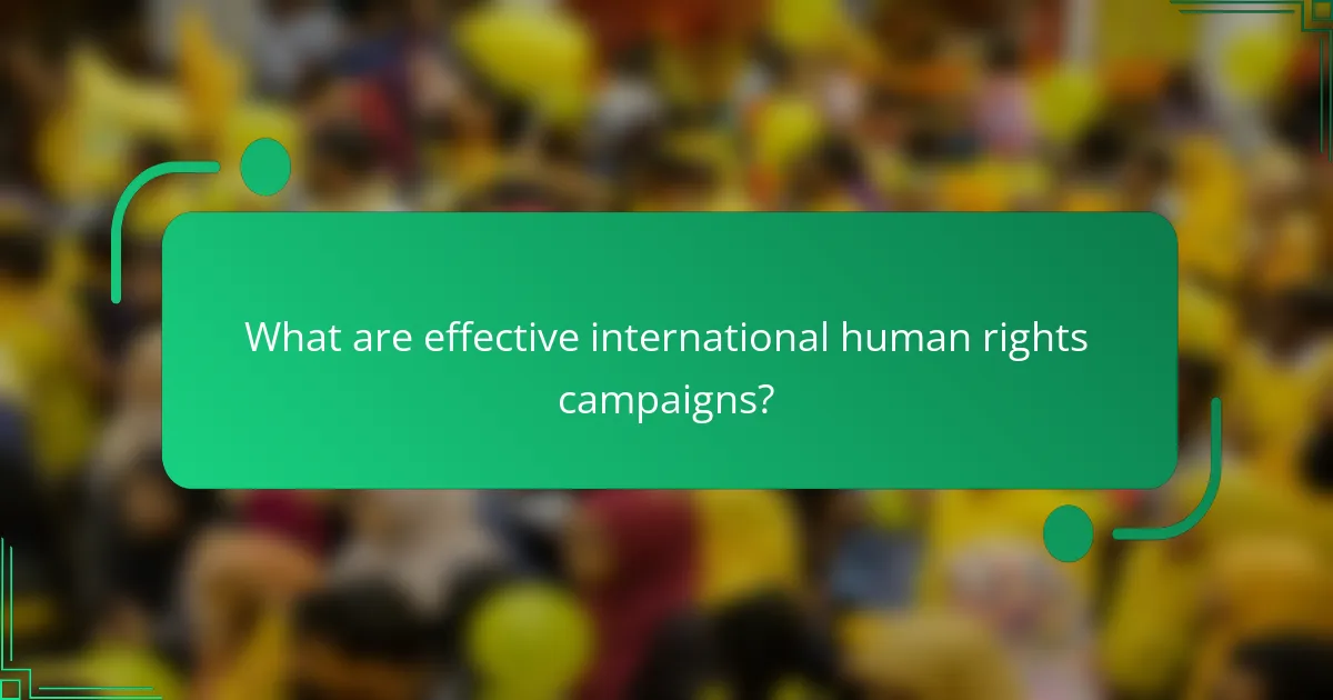 What are effective international human rights campaigns?