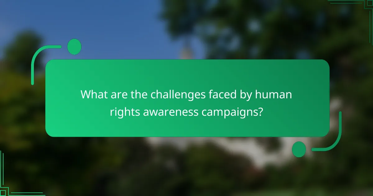 What are the challenges faced by human rights awareness campaigns?