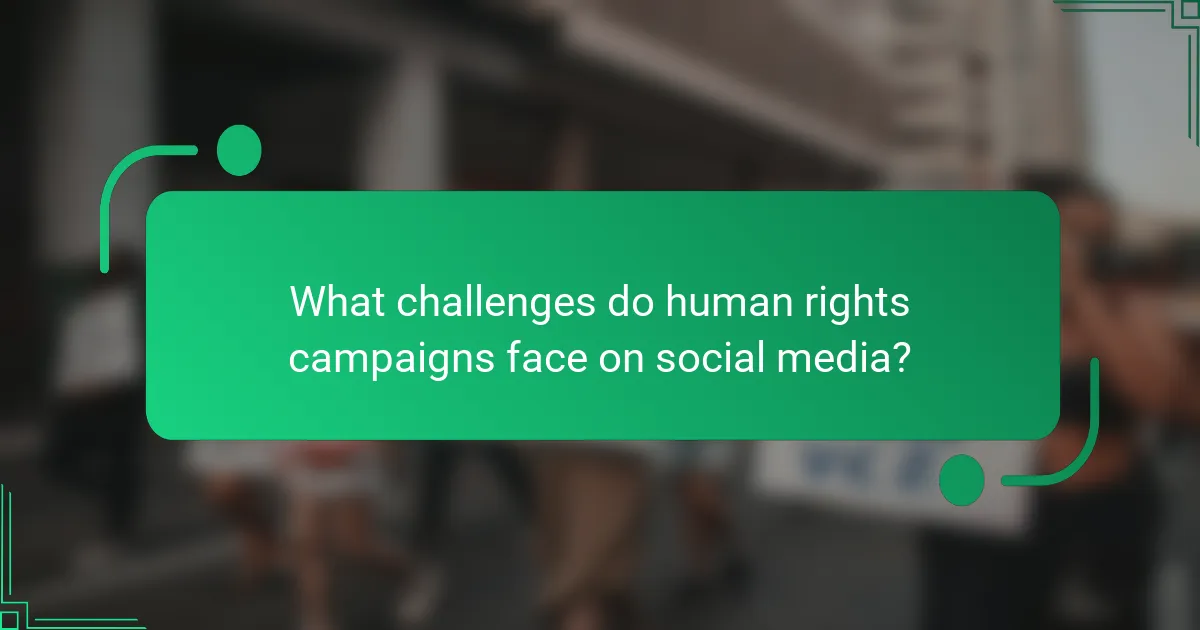 What challenges do human rights campaigns face on social media?