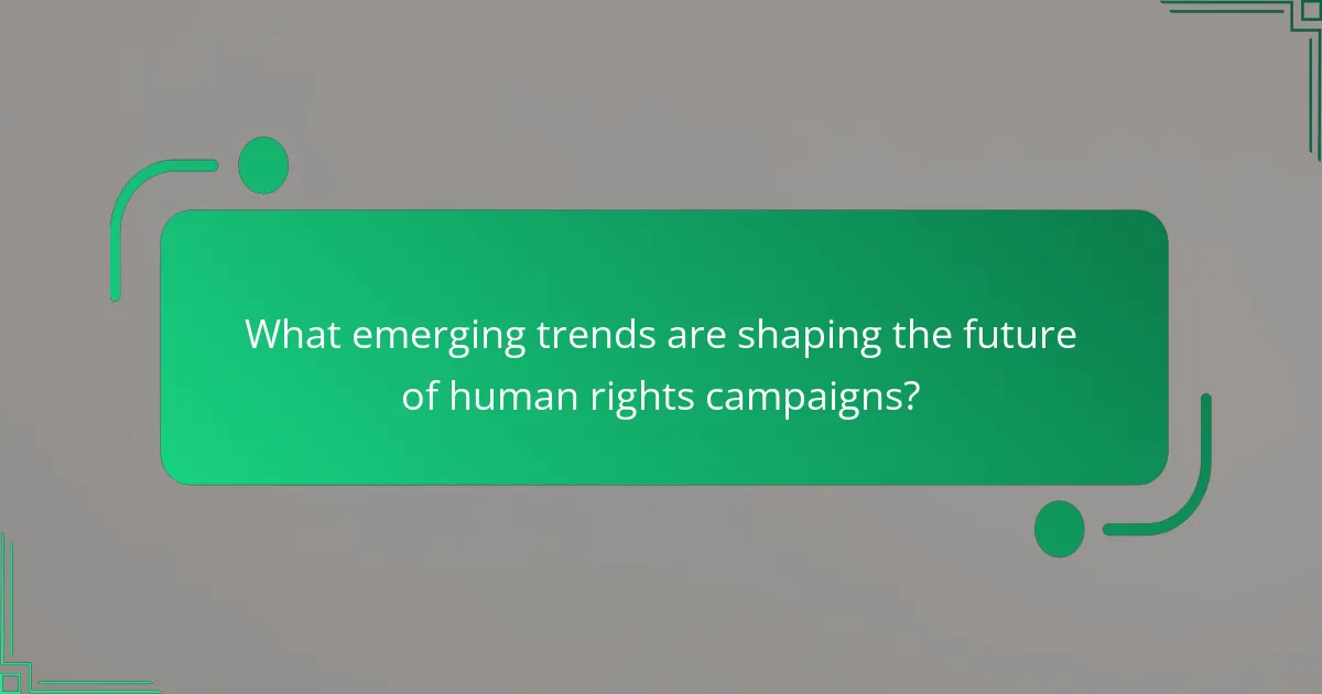 What emerging trends are shaping the future of human rights campaigns?