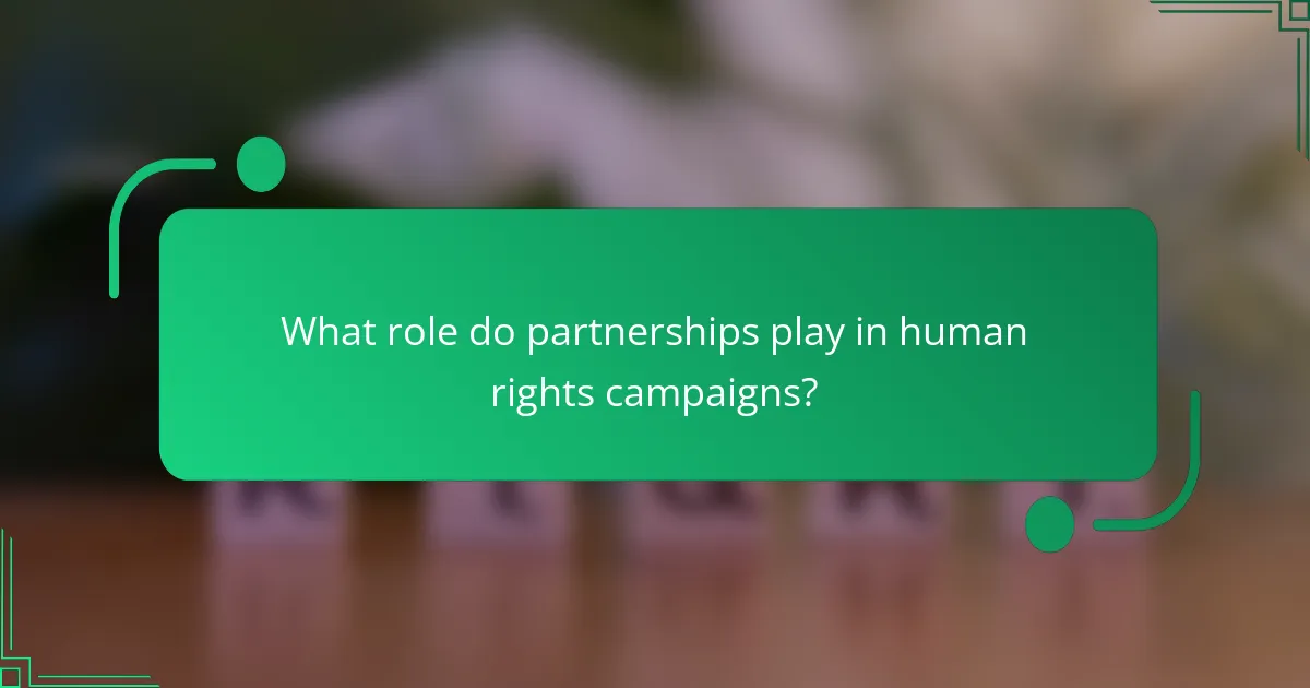 What role do partnerships play in human rights campaigns?