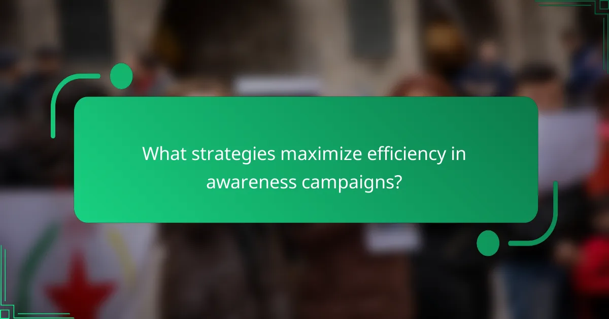 What strategies maximize efficiency in awareness campaigns?